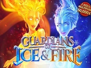 Guardians Of Ice & Fire screenshot