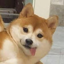 Rina Febriani avatar